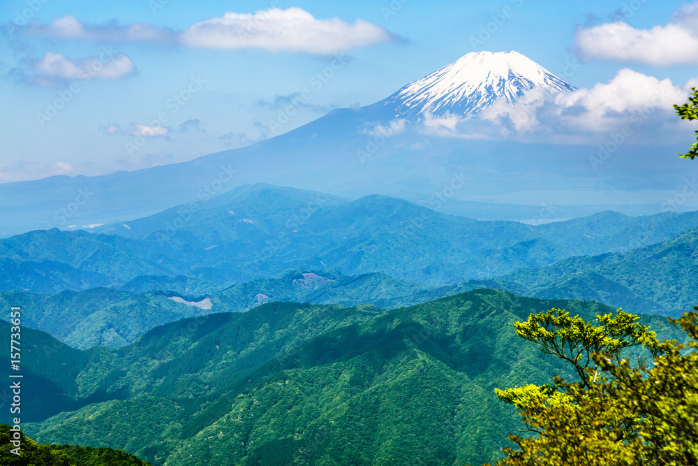 西丹沢から見る富士山