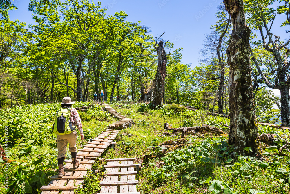 登山道