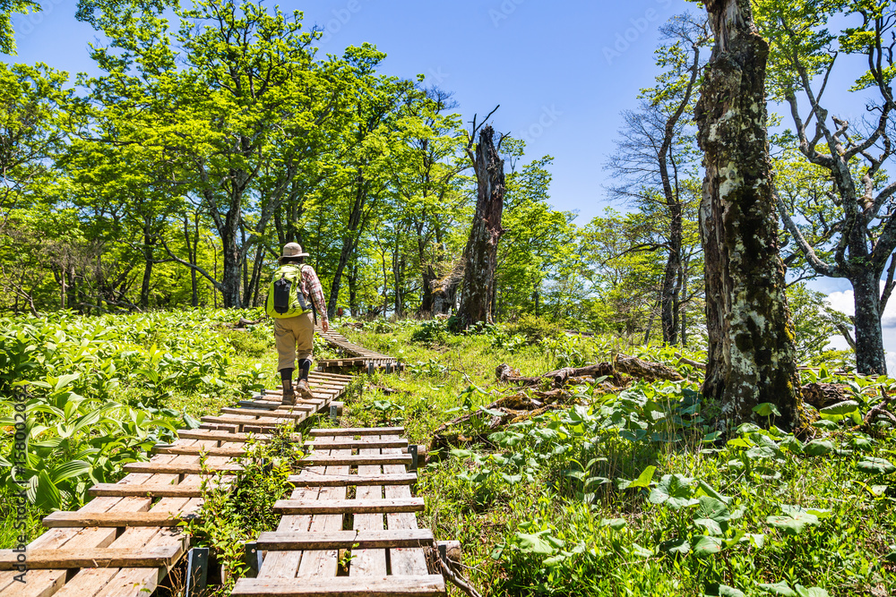 登山道