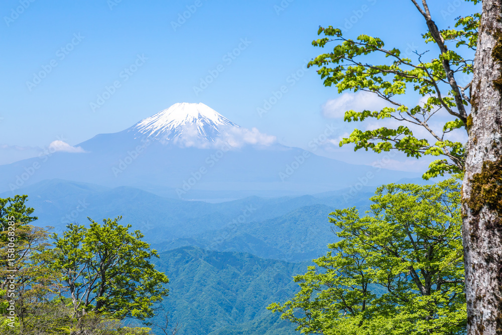 西丹沢から見る富士山