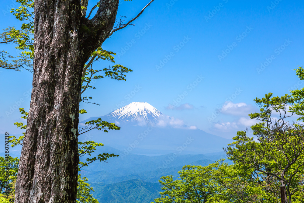 西丹沢から見る富士山