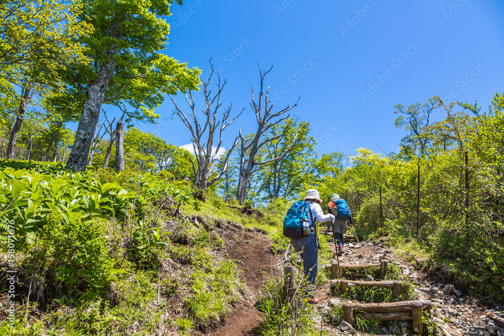 登山道