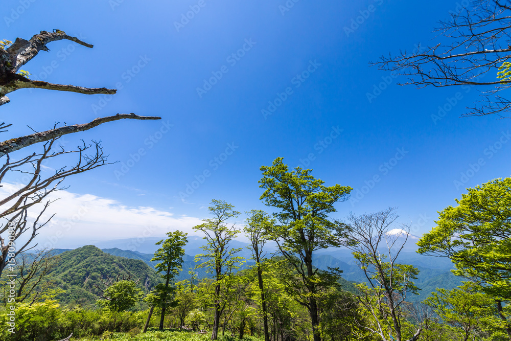 西丹沢から見る富士山