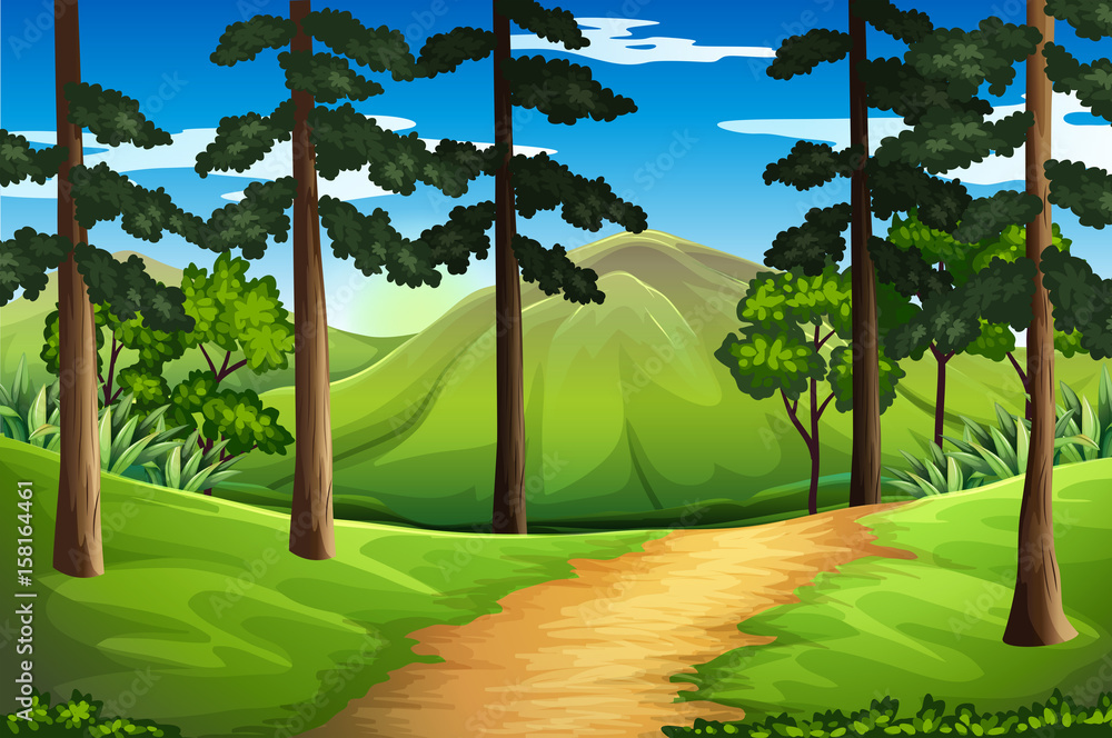 Scene with tall trees and mountain