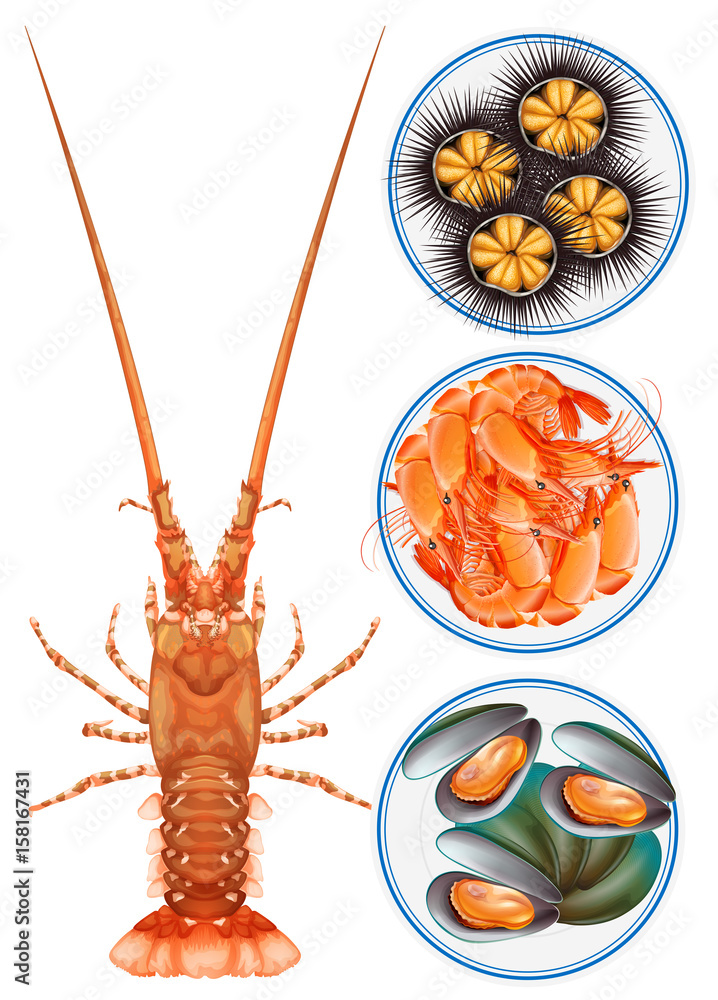 Four kinds of seafood on plate