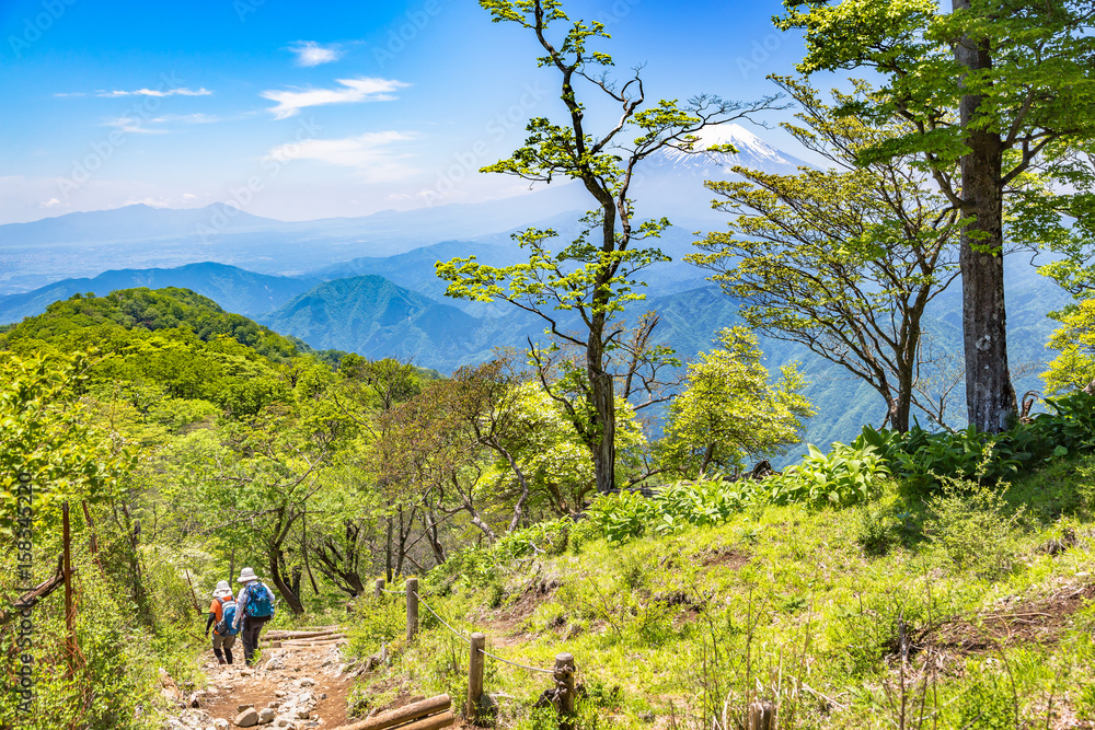 丹沢の登山道