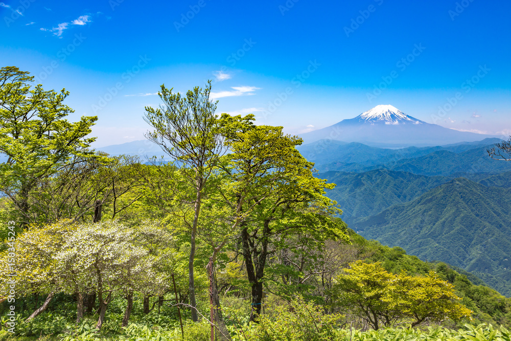 西丹沢から見る富士山