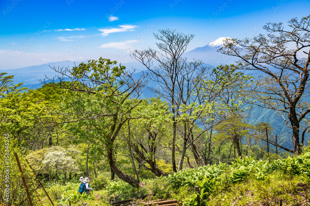 丹沢の登山道