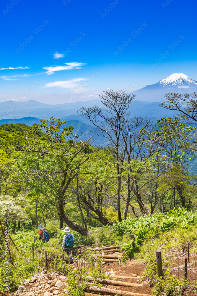 丹沢の登山道