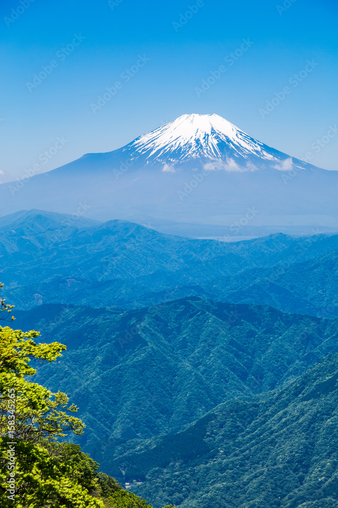 西丹沢から見る富士山