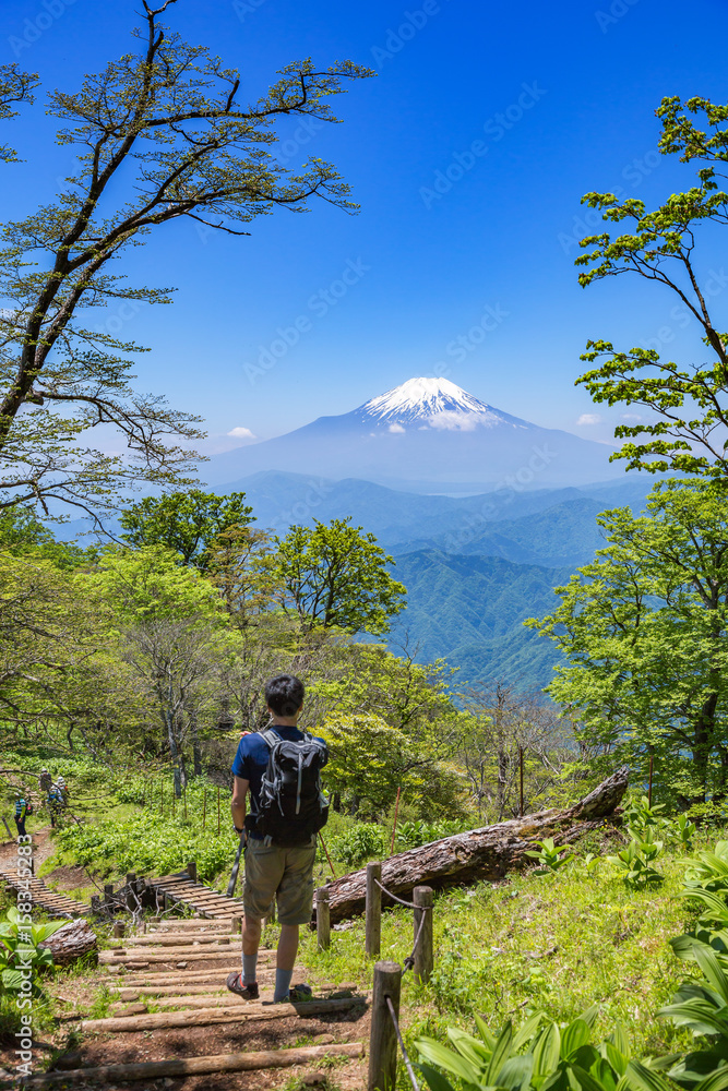 丹沢の登山道