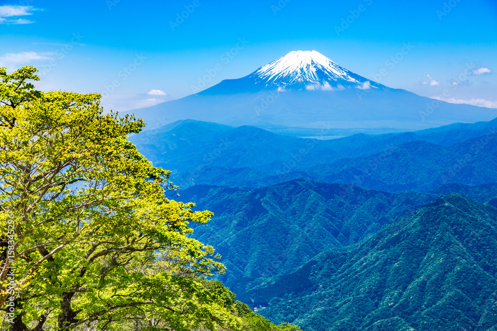 西丹沢から見る富士山