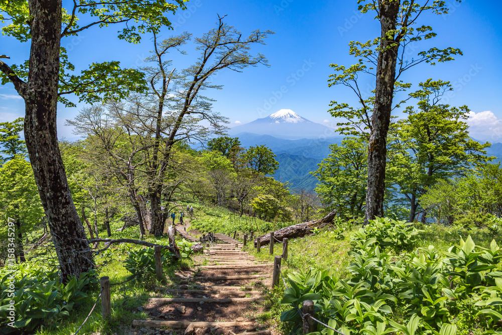 丹沢の登山道