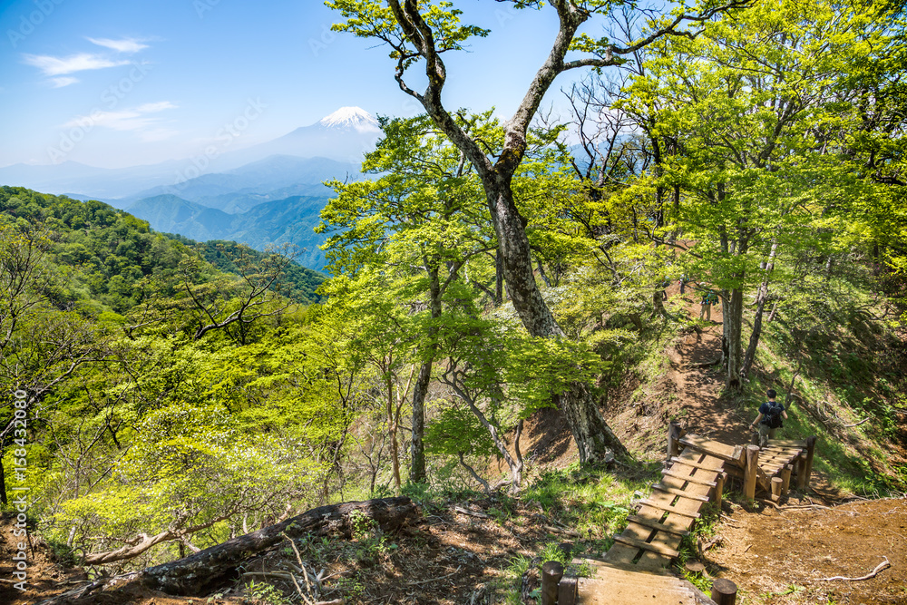 西丹沢から見る富士山