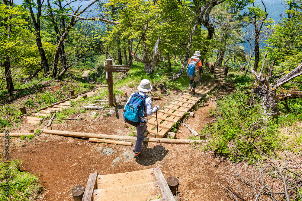 丹沢の登山道