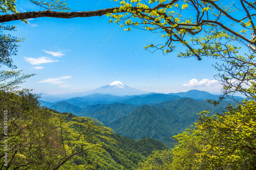 西丹沢から見る富士山