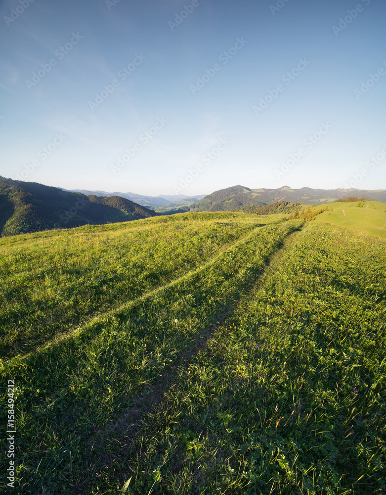 山上的路。夏天美丽的自然景观