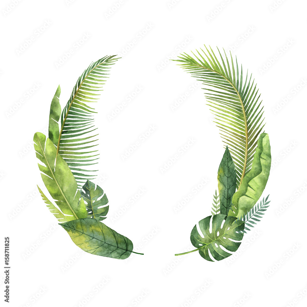 Watercolor wreaths tropical leaves and branches isolated on white background.