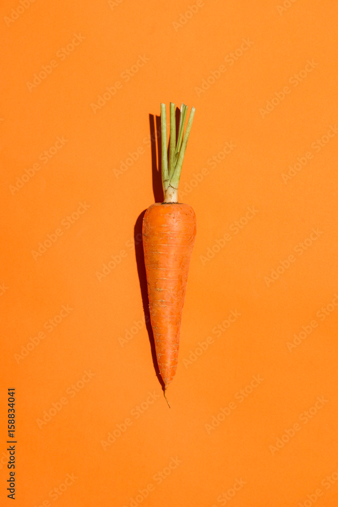 Top view of an carrot on orange background.