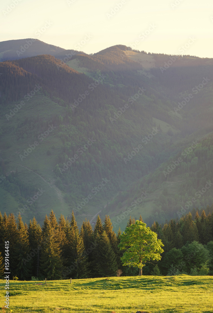 Mountain valley during sundown. Beautiful natural landscape in the summer time