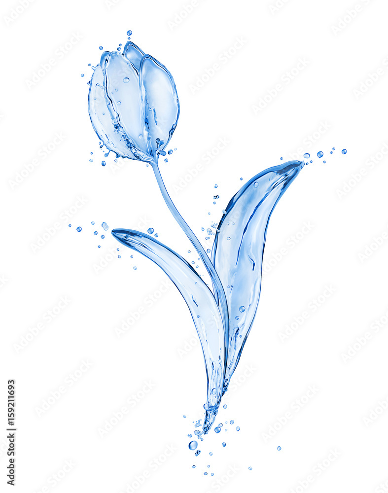 Flower tulip made of water splashes isolated on white background