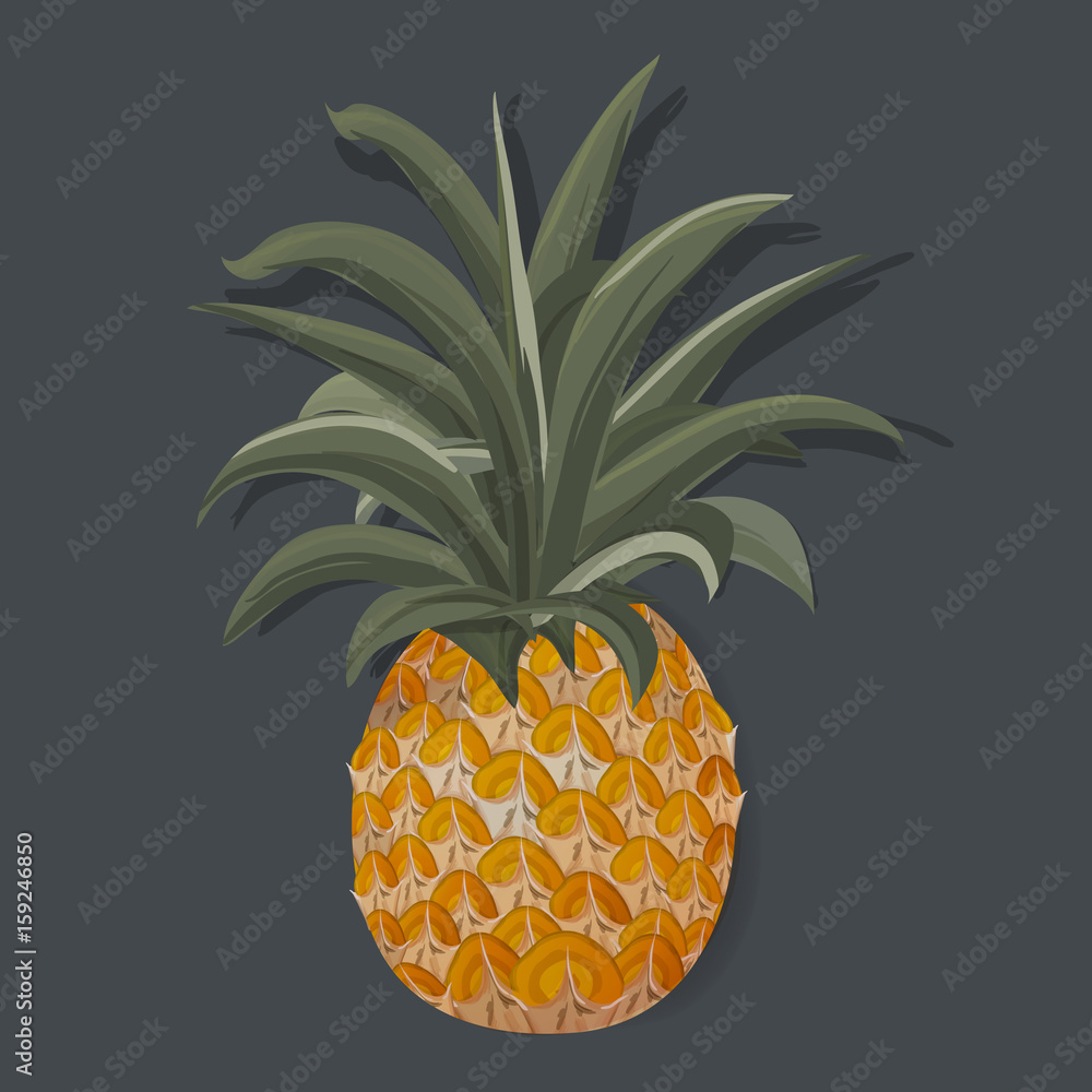 Fresh Pineapple Tropical Fruit Vector Illustration