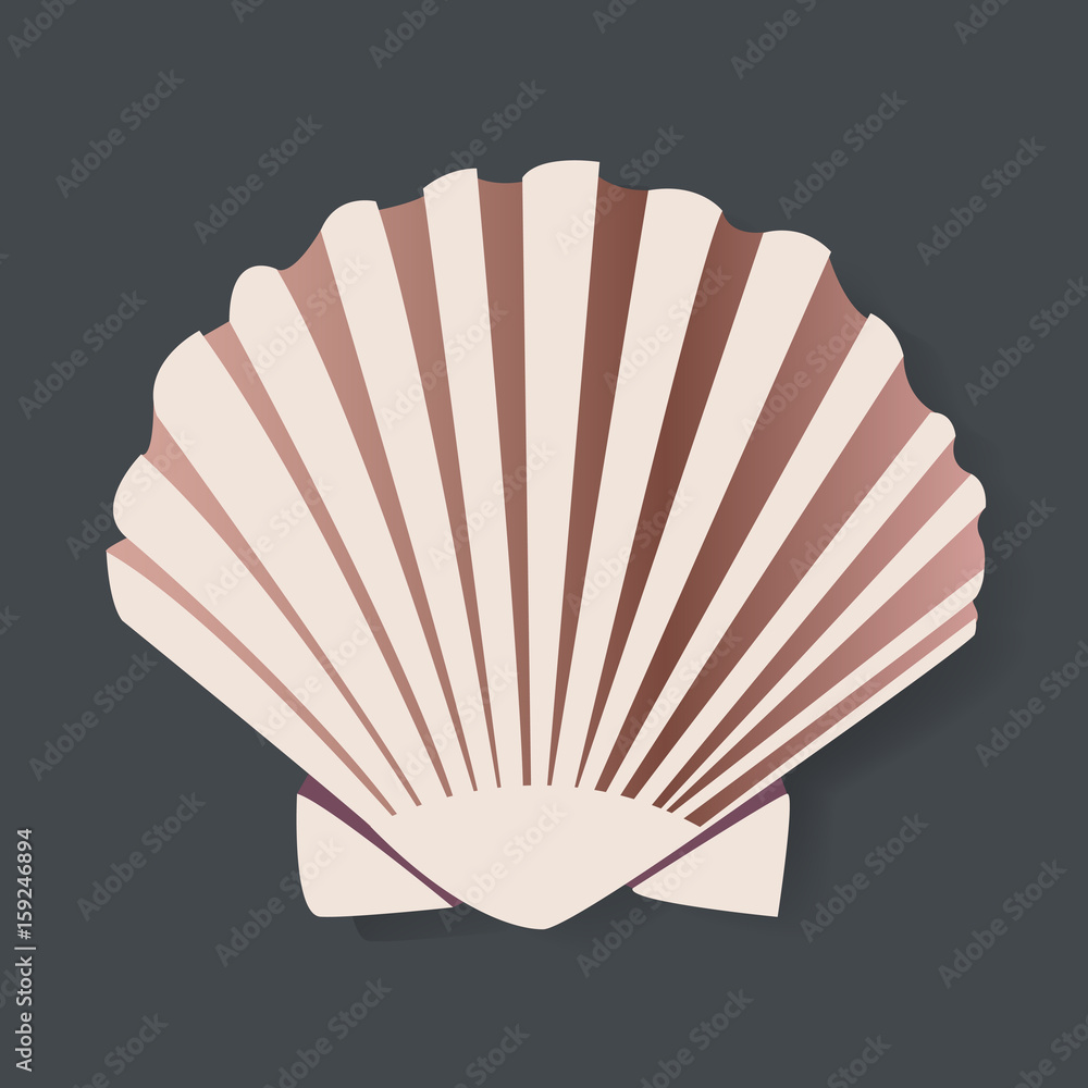 Seashell Vectot Illustration平面设计