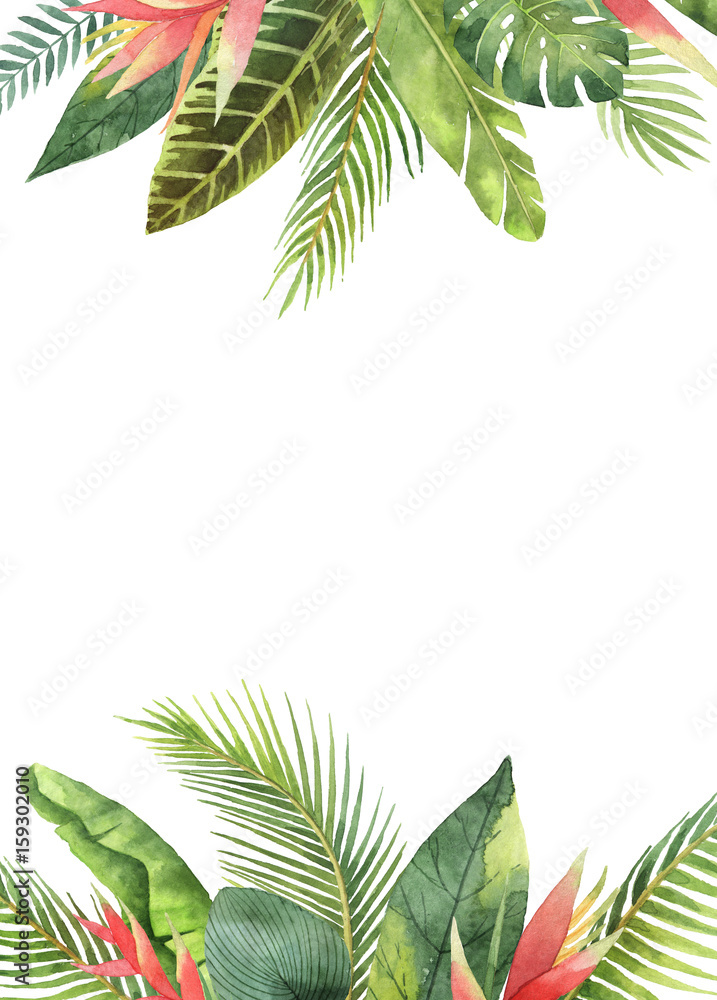 Watercolor rectangular frame tropical leaves and branches isolated on white background.