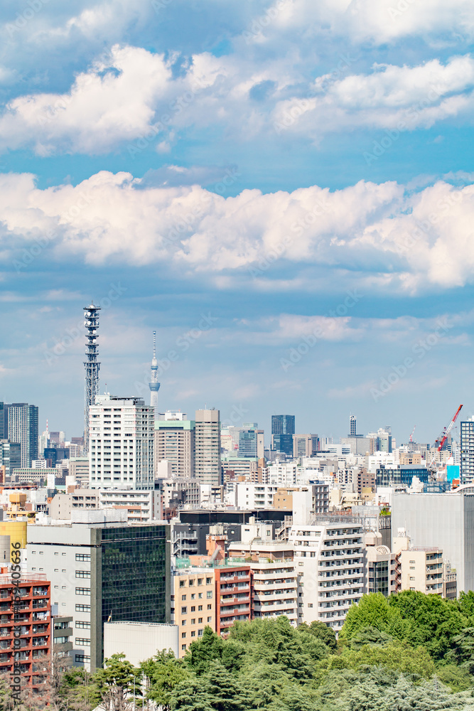 東京の空