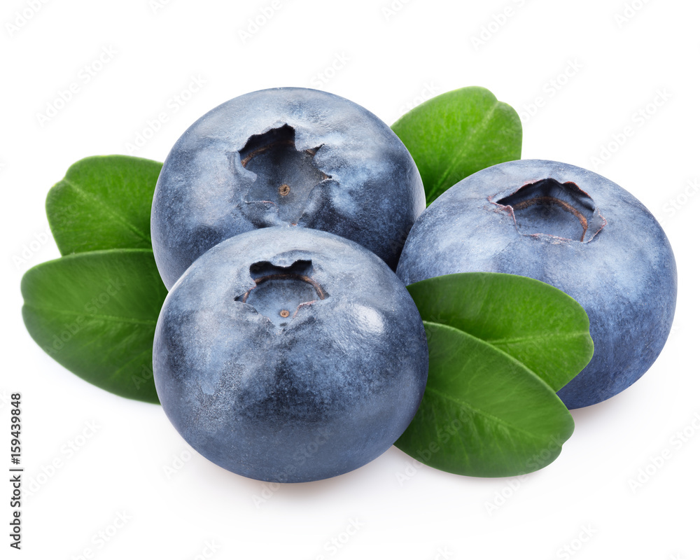 Ripe Blueberry isolated