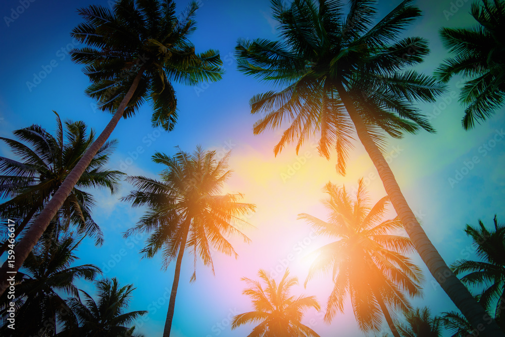 Silhouette coconut palm trees on beach at sunset. Vintage tone.