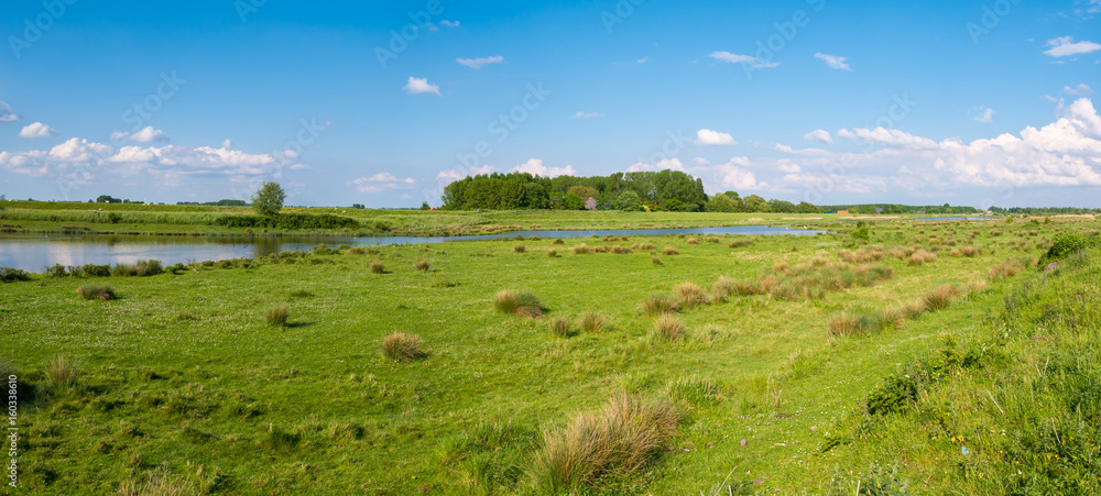 Wetland landscape of nature reserve Tiendgorzen in Haringvliet estuary, Netherlands