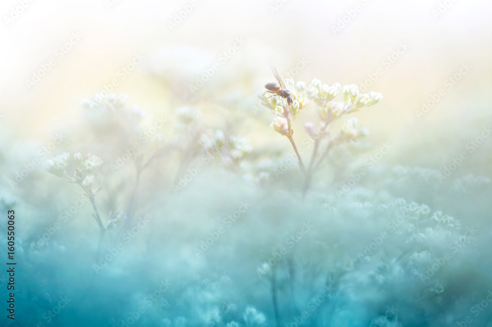 A gentle natural background in pastel colors with a soft focus of blue and beige shades. A flowering