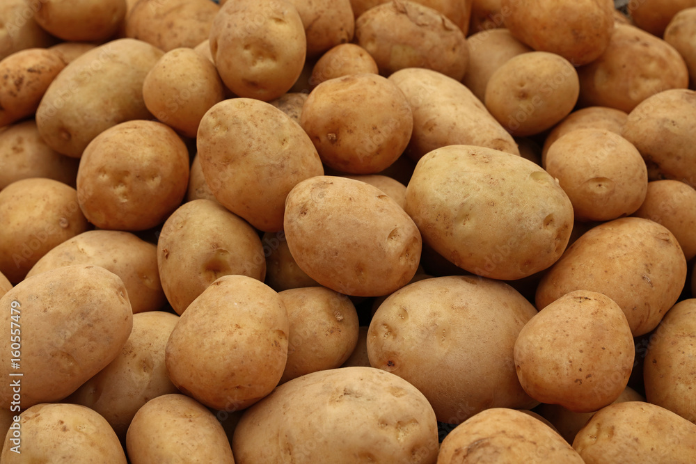 Heap of new potato at retail display close up