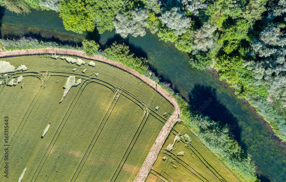 Le Rhin Tortu, a small river in the south of Strasbourg - Grand Est, France