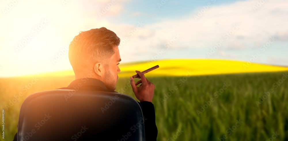 Composite image of rear view of male executive holding cigar