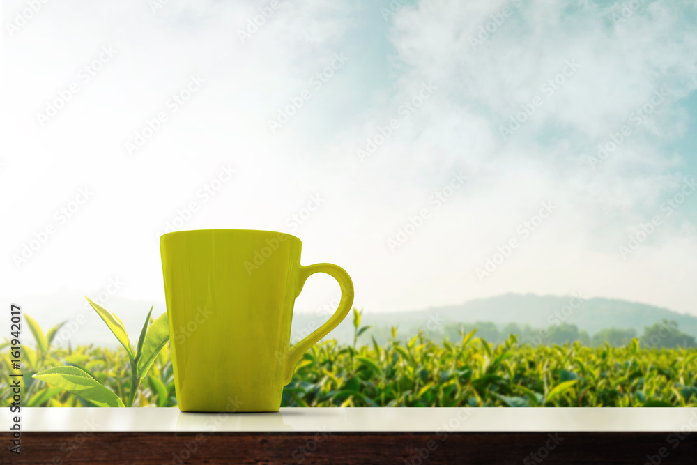 抹茶绿茶杯出现在种植园有机农场上空，晨曦和薄雾笼罩着l山