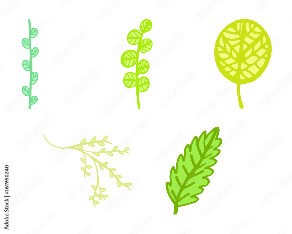 Vector icon of various leaves against white background