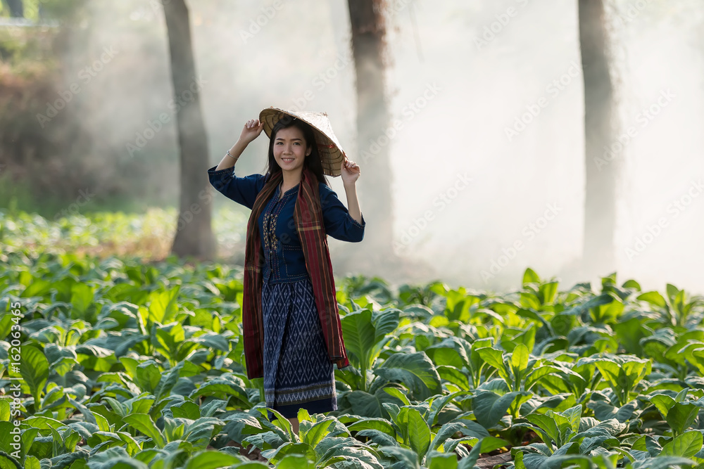 Portrait of beautiful rural woman wear Thai dress,are harvesting in tobacco plantations.