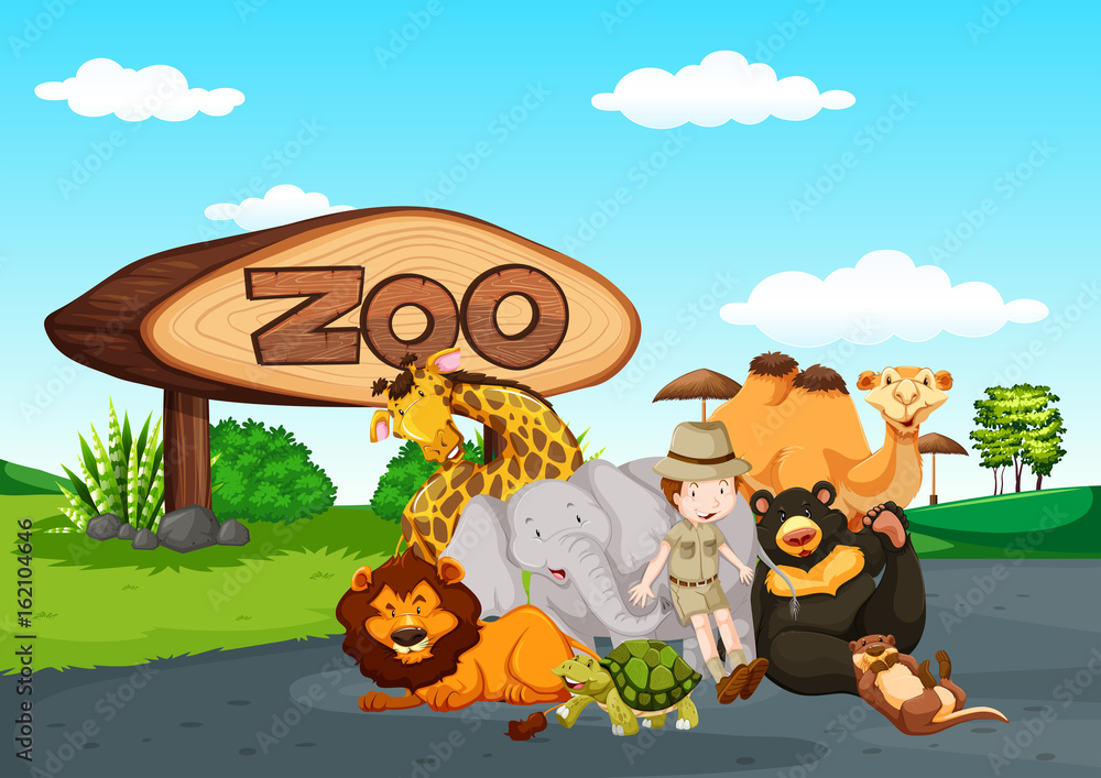 Zoo scene with many wild animals