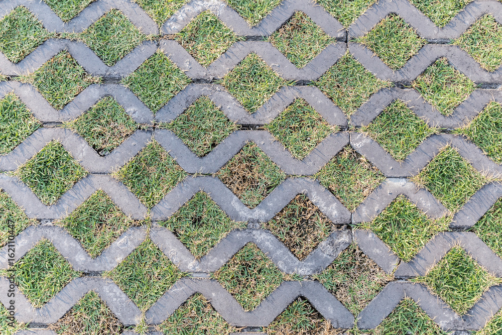 grass and pavement pattern texture background