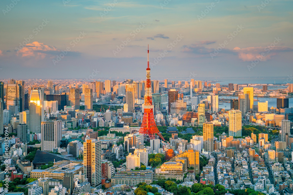 Tokyo skyline  with Tokyo Tower in Japan