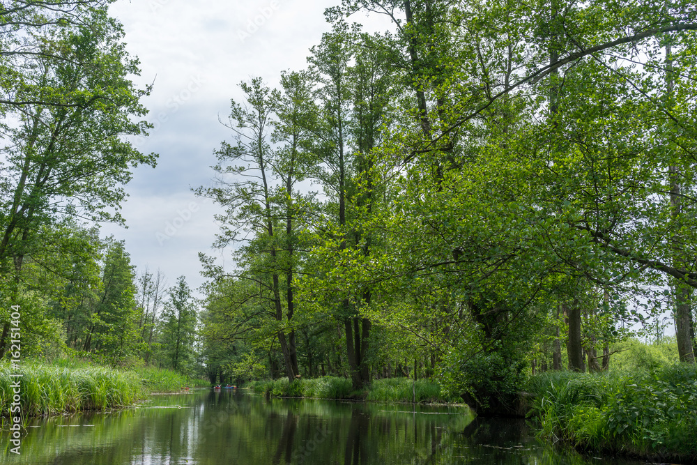 River landscape for a kayak tour