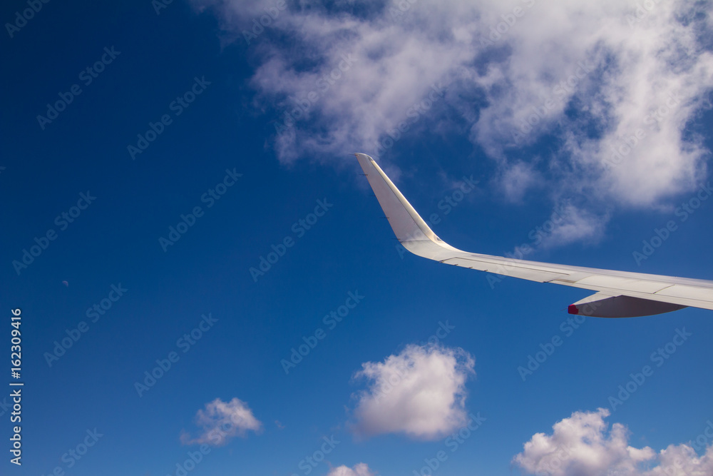 White Plane Wings