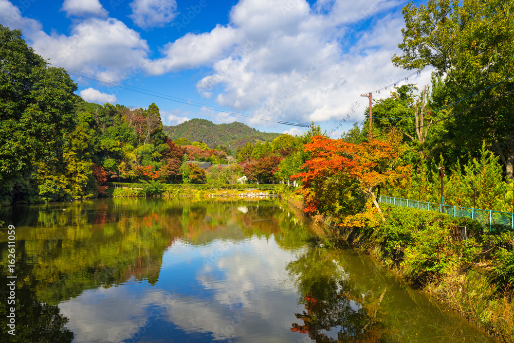 日本荒山湖畔的秋天