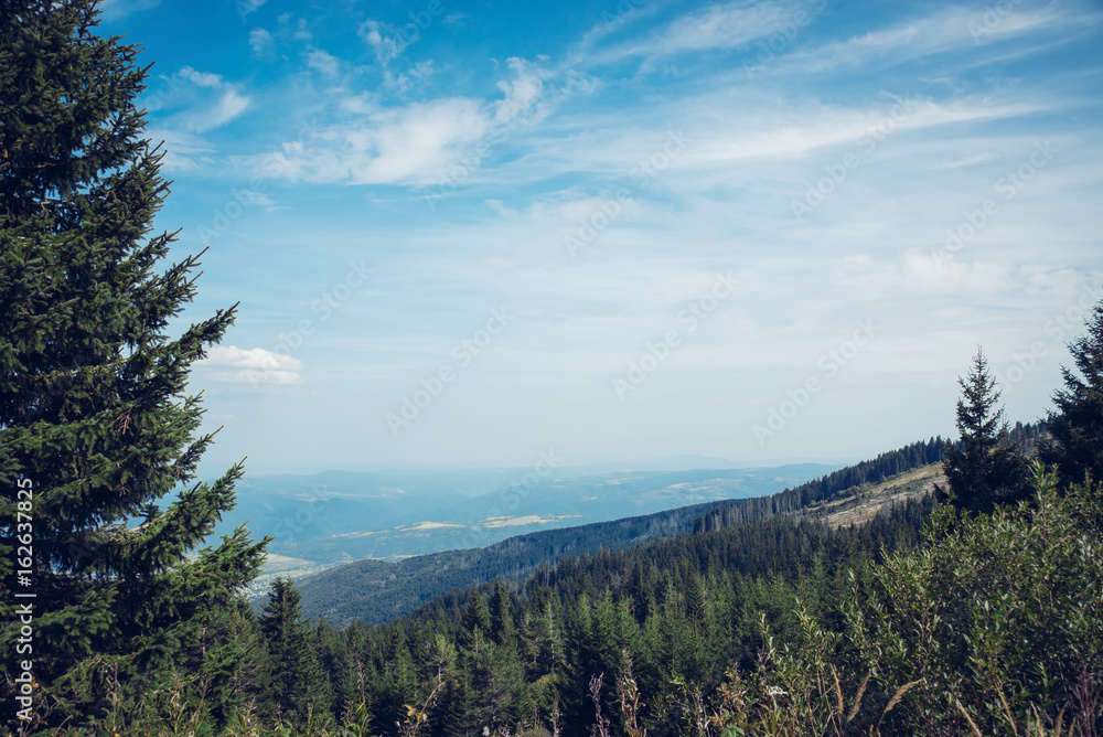 青山上的松树和壮丽的多云天空的美景。布尔索非亚的维托沙山