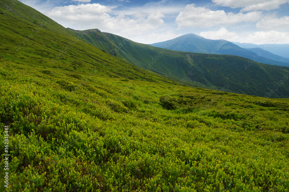 夏日山景