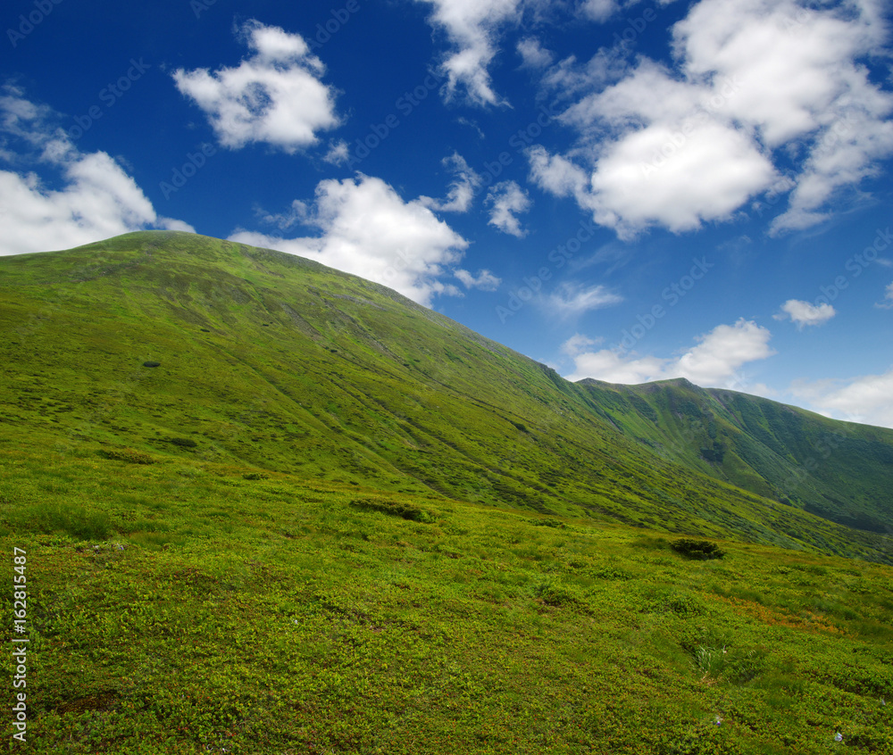 夏日山景