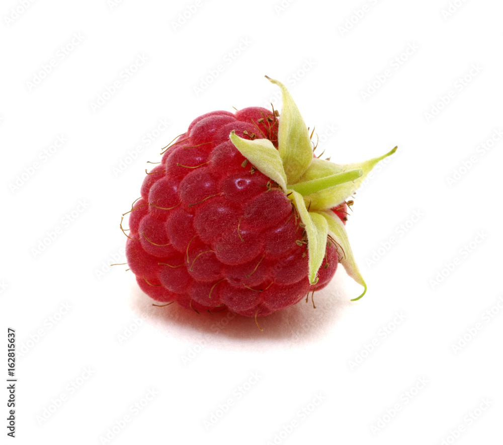 Fresh raspberry isolated on white