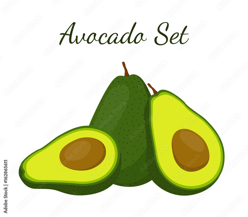 Avocado whole and slice. Tropical summer fruit. Cartoon flat style